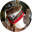 Emanuele Passerini profile picture